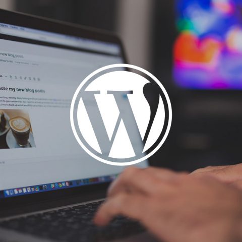 Wordpress logo, with person using laptop in background