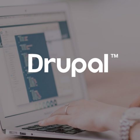 Drupal, with person using laptop in background