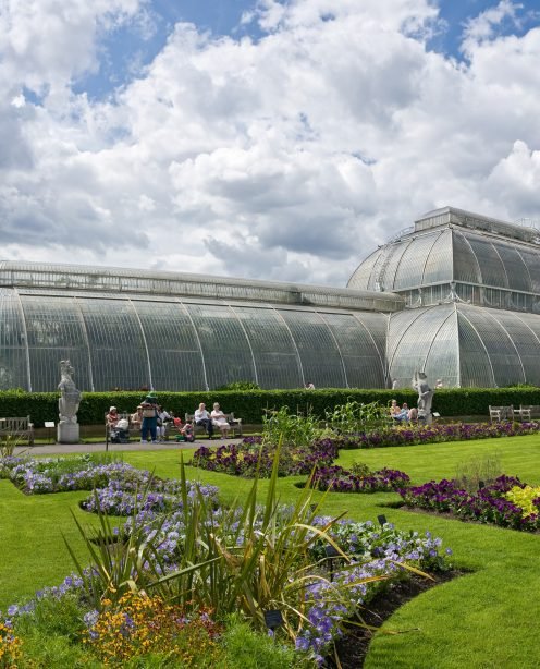 New redevelopment project and digital retainer with Royal Botanic Gardens, Kew